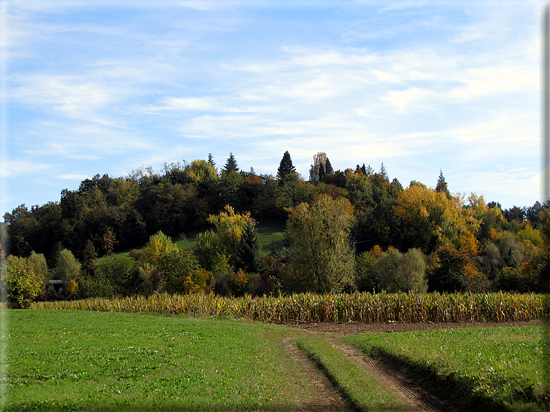 foto Paesaggi Autunnali tra le colline Fontesi